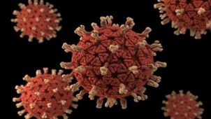 الفيروس التنفسي H1N1