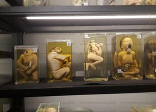 بالصور| افتتاح متحف نجيب محفوظ لأمراض النساء والتوليد
