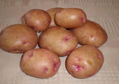 علامات بنفسجي على البطاطس