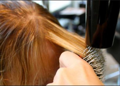 بالفيديو| أمريكية تستعين بمجفف الشعر لإنقاذ سحلية