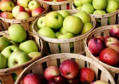 فوائد تناول التفاح على معدة فارغة