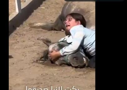 الطفلة العراقية تبكي على فقدان الخيل