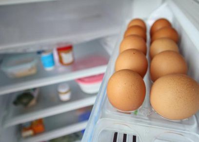 تخزين البيض