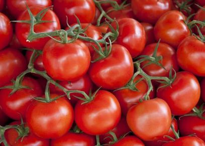 الطماطم من الأطعمة تحمي الكبد