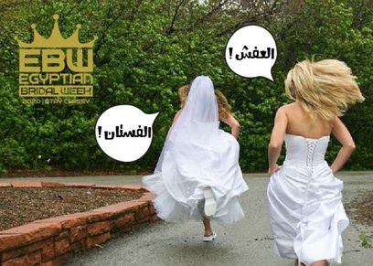 أسبوع الزفاف المصري