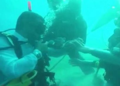 بالفيديو| عقد قران وسط الشعب المرجانية والأسماك الملونة بمدينة دهب