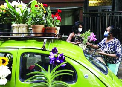 سيدة برازيلية تحول سيارتها لبيع الزهور