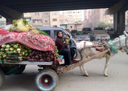 إخلاص بائعة الخضار