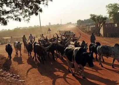 قصة مقتل فتاة سودانية على يد أشقائها.. رفضت الزواج ومهر 40 بقرة