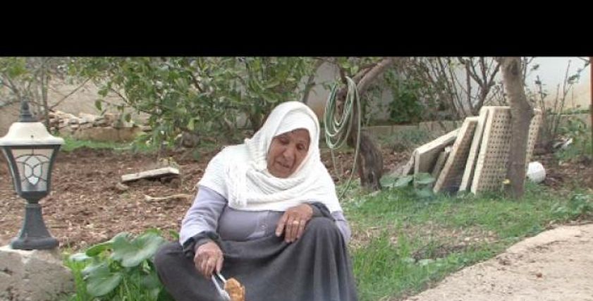 سيدة فلسطينية تطهو الطعام 