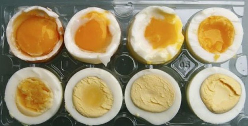فوائد تناول البيض المسلوق