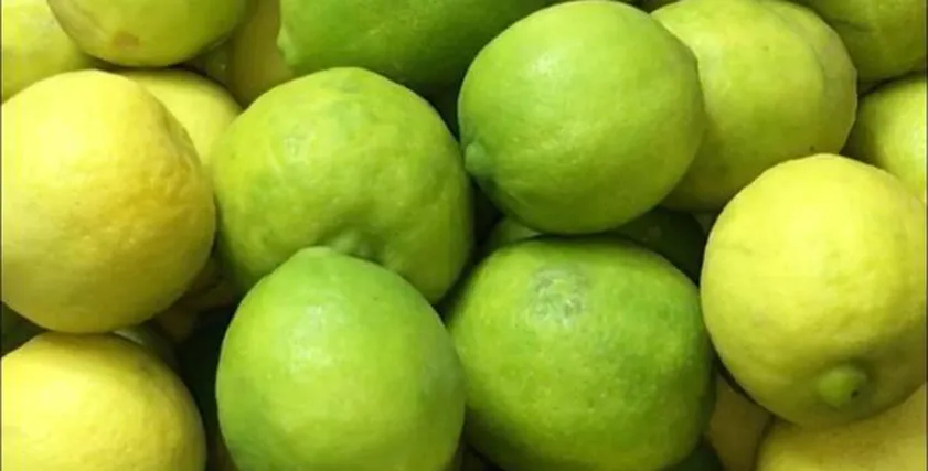 طريقة حفظ الليمون - تعبيرية