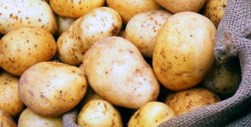 التفرقة بين أنواع البطاطس