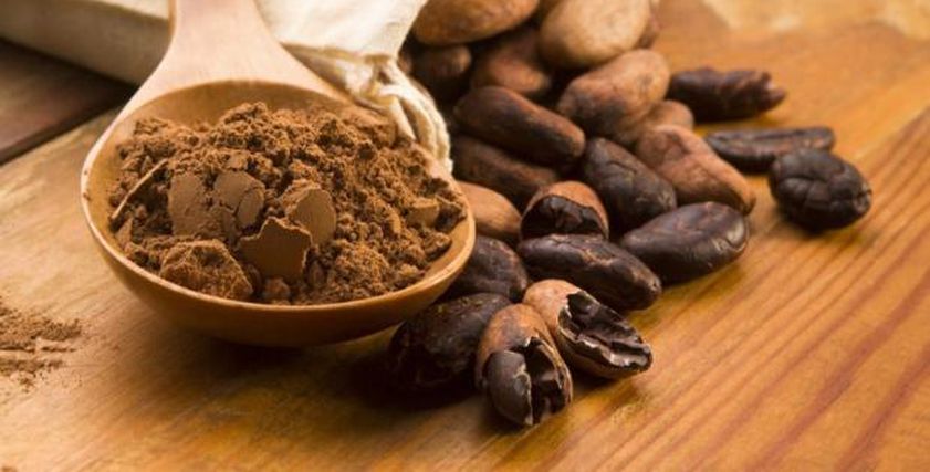 منتجات الكاكاو تعتبر مصدر طبيعي بديل لفيتامين D