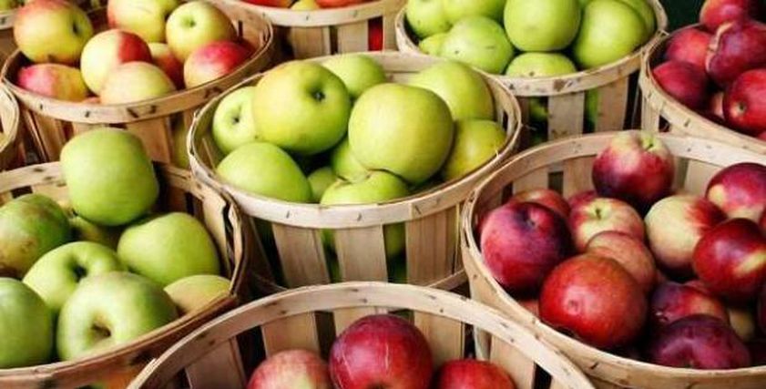 فوائد تناول التفاح على معدة فارغة