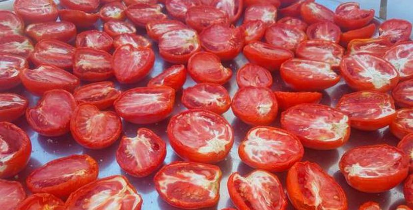 الطماطم الصحيحة- صورة تعبيرية