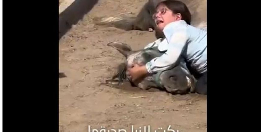 الطفلة العراقية تبكي على فقدان الخيل