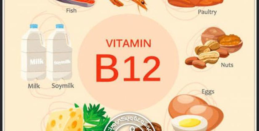 فيتامين B 12