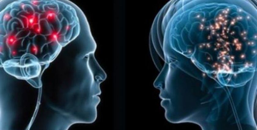 دراسة: دماغ النساء أكثر شبابا عن الذكور بفارق 4 سنوات