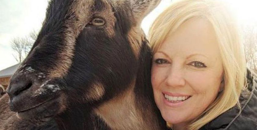 صور|   أمريكية تترك وظيفتها لرعاية الماعز ذات الإحتياجات الخاصة