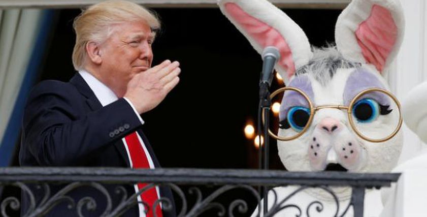 الرئيس الأميركي دونالد ترامب بجانبه الأرنب
