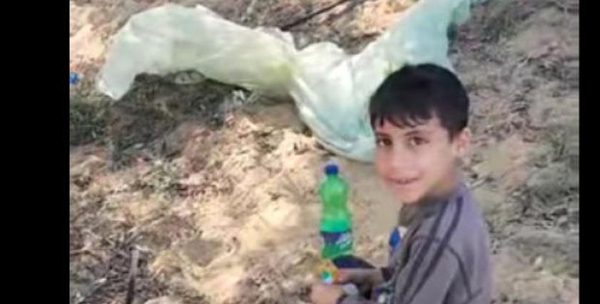 طفل فلسطيني يجمع ثمار الزيتون