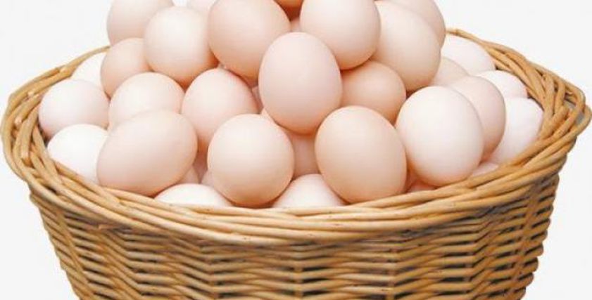 نصائح لحفظ البيض