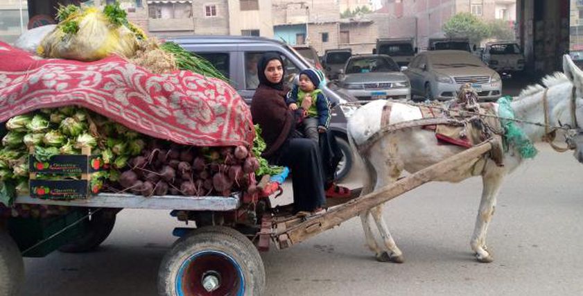 إخلاص بائعة الخضار