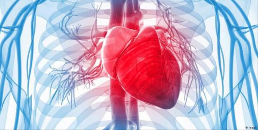 ما هي أعراض السكتة القلبية قبل حدوثها والإسعافات الأولية الضرورية