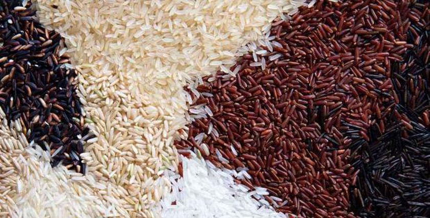 أنواع الأرز - صورة تعبيرية