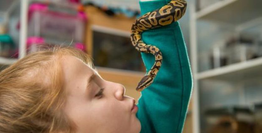 طفلة تحول غرفتها إلى حديقة حيوان