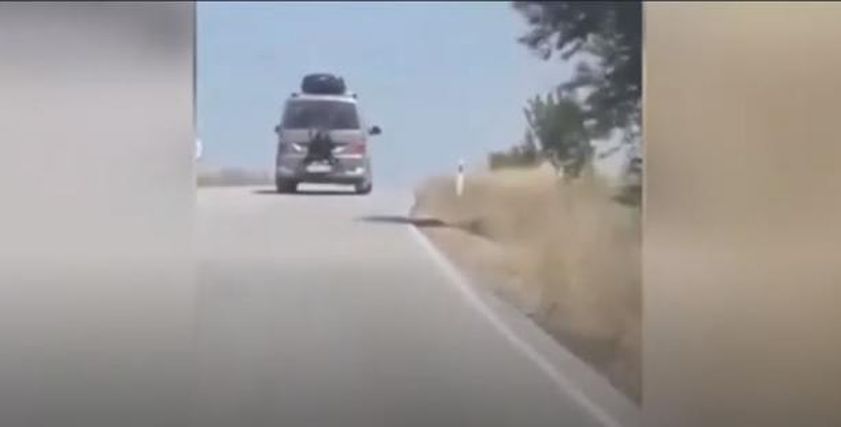 فيديو يظهر فتاة تركية مربوطة في مؤخرة عربة نقل