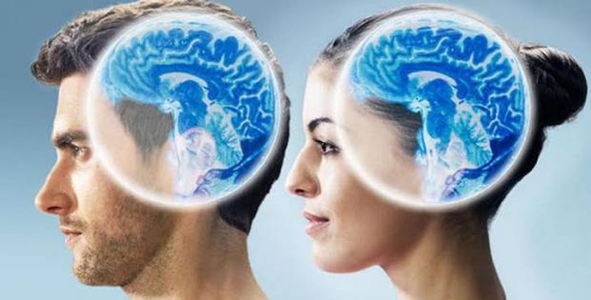 دماغ المرأة والرجل