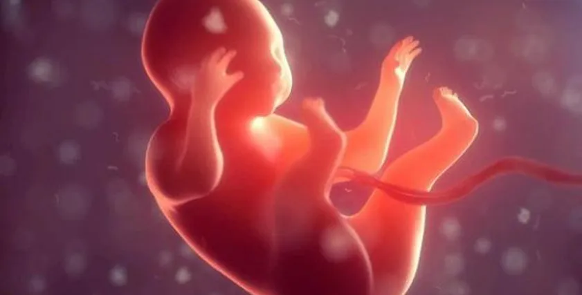 تفسير حلم موت الجنين للحامل - تعبيرية