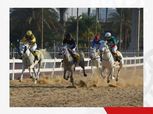 انطلاق مهرجان الخيول العربية الثالث بمشاركة 27 جوادا السبت المقبل