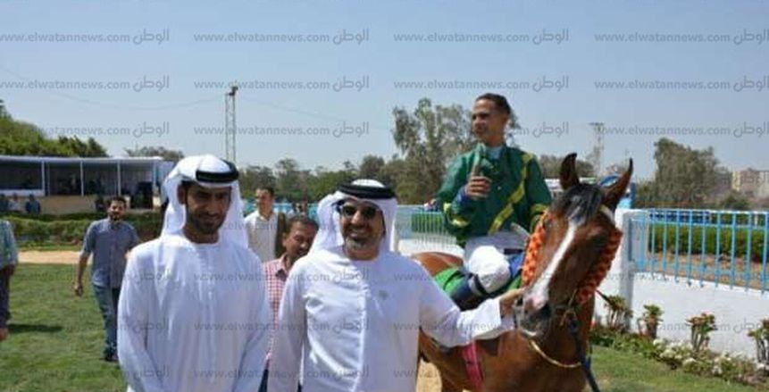 بالصور| ختام كأس الشيخ خليفة بن زايد لسباق الخيل