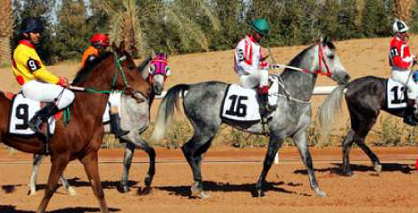 مهرجان كأس "خليفة بن زايد" للخيول أول أبريل بمصر بمجموع جوائز 490 ألف جنيه