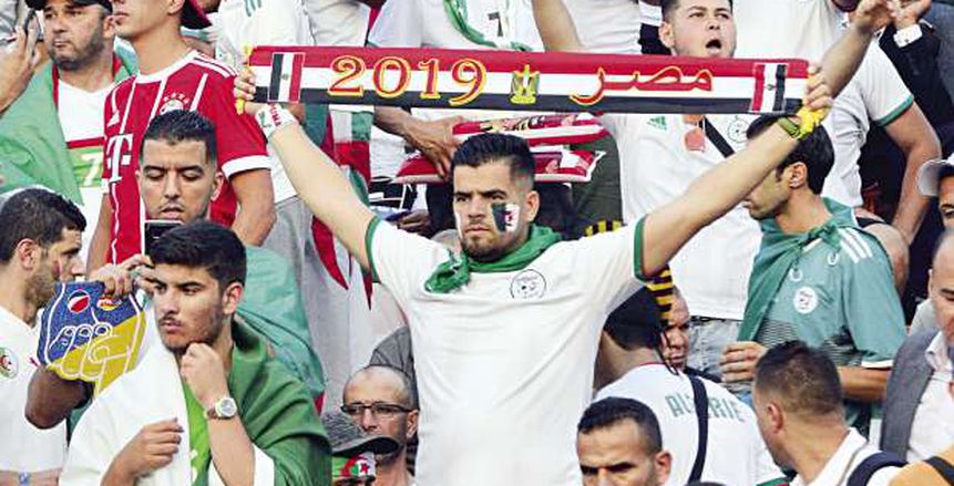 مشجعو الجزائر من استاد القاهرة: أقل واجب نرفع علم مصر في النهائي
