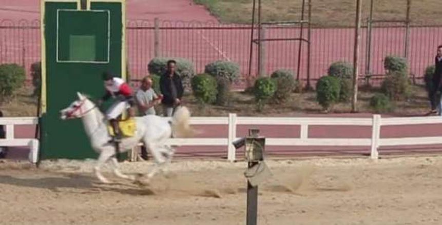 الفائزين بأول 6 أشواط في مهرجان سعفان للخيول.. الجواد بشر في المقدمة