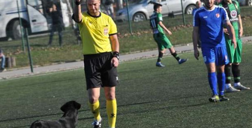 بطاقة حمراء لـ«كلب» اقتحم مباراة في الدوري الصربي