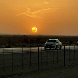 طفل على ظهر طير فوق الرياض يحلق في سماء السعودية.. فما القصة؟