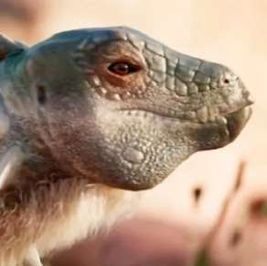 اكتشاف أول ديناصور صغير «مدرع» في الأرجنتين.. عمره 100 مليون سنة