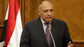 «الخارجية»: قلق مصري بالغ من مخاطر التصعيد الإسرائيلي في الأراضي المحتلة