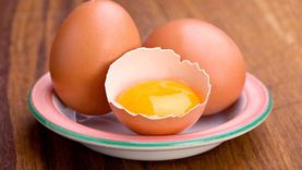 تراجع أسعار البيض اليوم الخميس 25-4-2024.. «طبق الأبيض بـ140 جنيها»