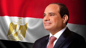 بعد مرور عام على إلغاء الطوارىء.. حقوقي: رسالة للخارج أن مصر آمنة