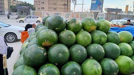 «شعبة الفاكهة»: لدينا اكتفاء ذاتي من البطيخ.. وتراجع كبير في الأسعار قريبا