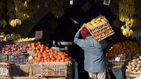 استقرار أسعار الخضراوات بسوق الجملة في 6 أكتوبر.. البطاطس بـ4 جنيهات