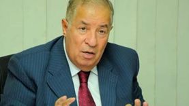 اتحاد جمعيات المستثمرين: مصر تجد حلولا لجميع التحديات وما يجرى عليها «معجزة»