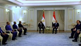«القاهرة الإخبارية»: مصر تسخر مؤسساتها لحقن دماء الشعب السوداني منذ اندلاع الأزمة