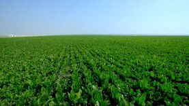 في 10 نقاط.. وزير الزراعة يكشف آخر تطورات مشروع «مستقبل مصر»